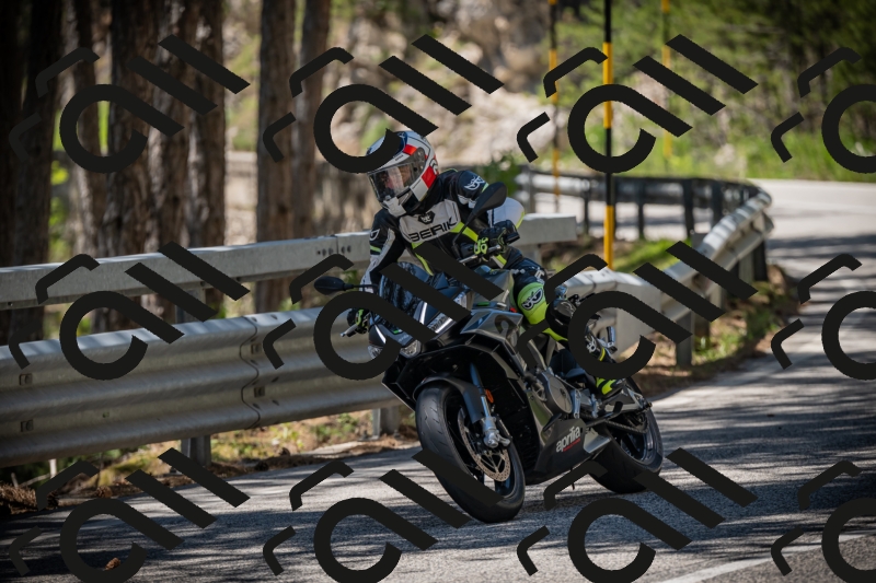 20250531125354-DSC_4871_am_