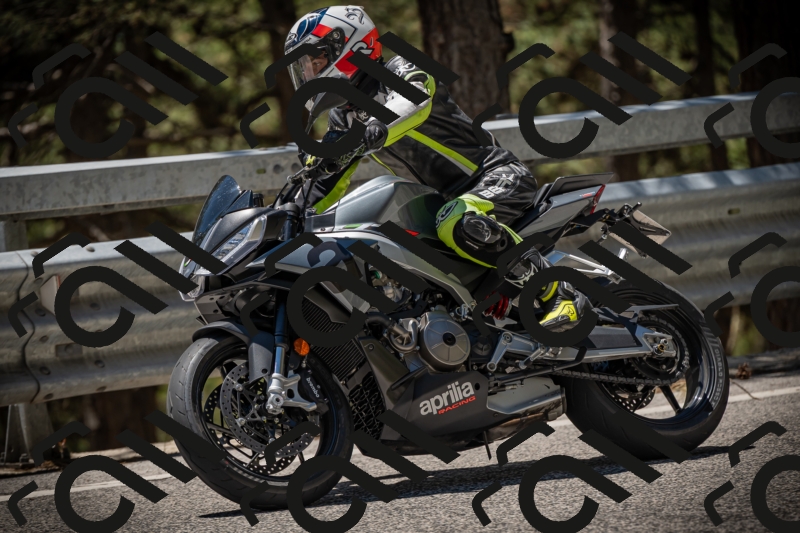 20250531125355-DSC_4872_am_