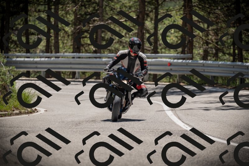 20250531125407-DSC_4876_am_