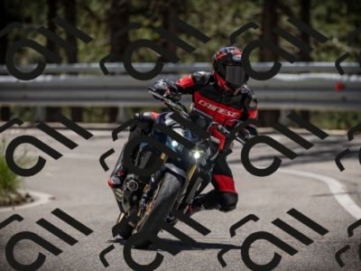 20250531125424-DSC_4882_am_