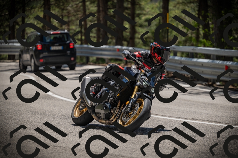 20250531125425-DSC_4883_am_