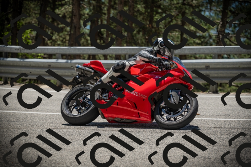 20250531125428-DSC_4888_am_