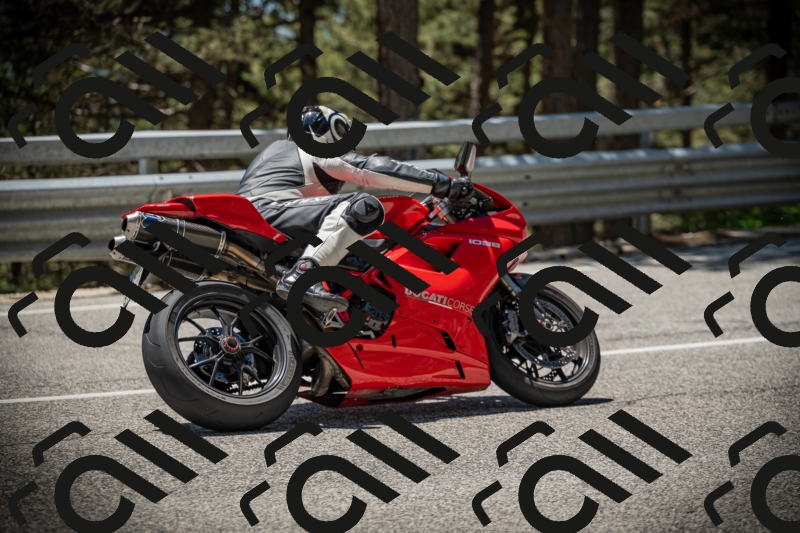 20250531125429-DSC_4889_am_