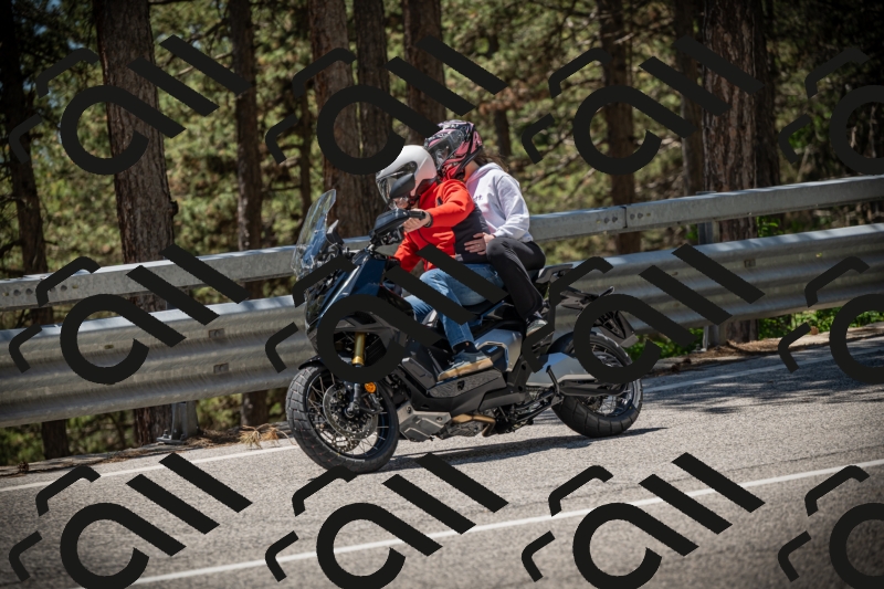 20250531125540-DSC_4891_am_