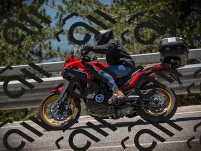 20250531125603-DSC_4896_am_