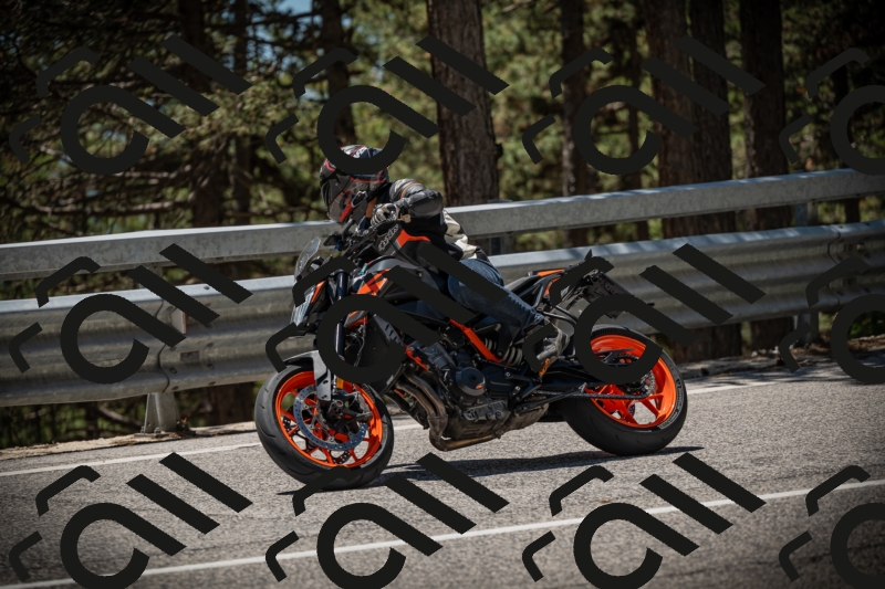 20250531125604-DSC_4897_am_