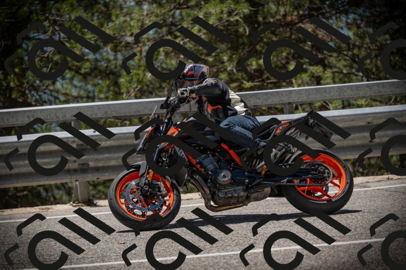 20250531125605-DSC_4898_am_