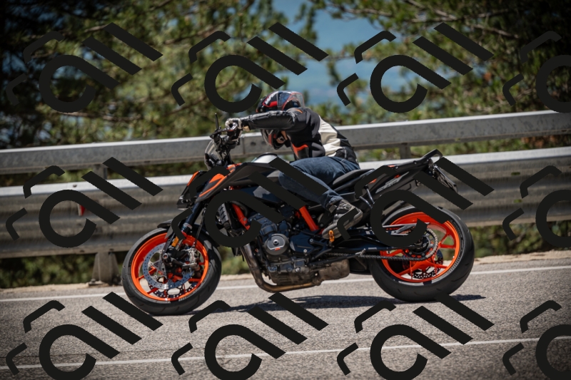 20250531125605-DSC_4899_am_