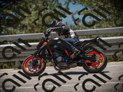 20250531125605-DSC_4899_am_