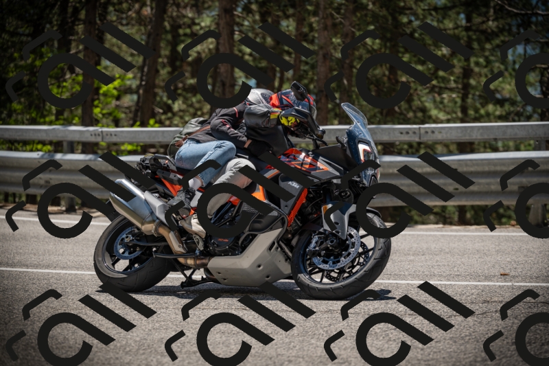 20250531125948-DSC_4930_am_