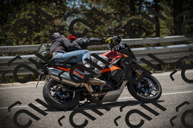 20250531125949-DSC_4932_am_