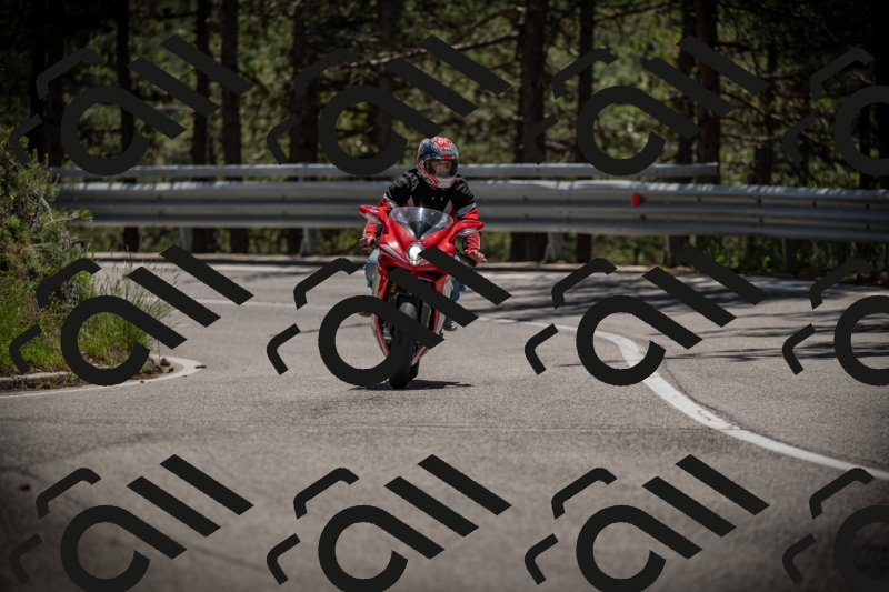 20250531130000-DSC_4933_am_