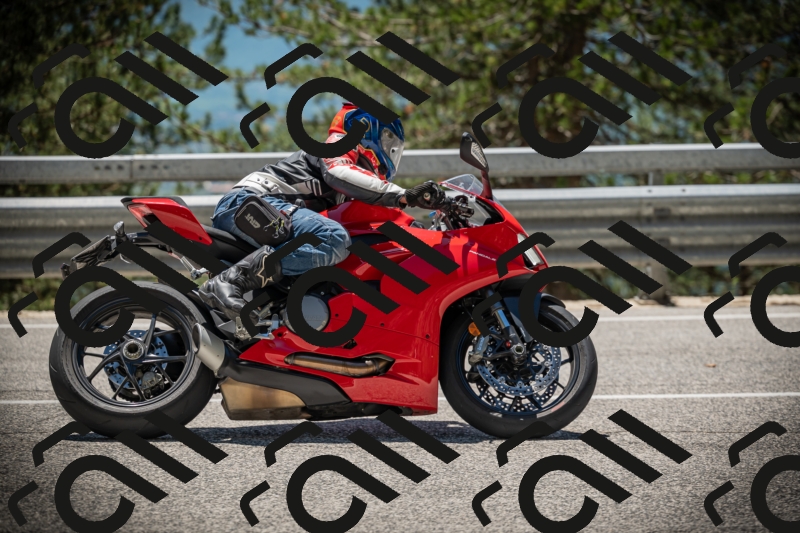 20250531130148-DSC_4946_am_