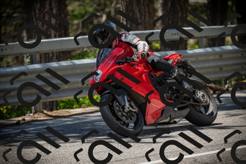 20250531130406-DSC_4963_am_