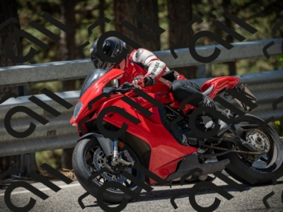 20250531130407-DSC_4964_am_