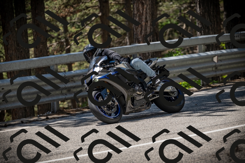 20250531130408-DSC_4966_am_