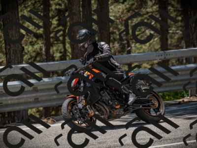 20250531130417-DSC_4971_am_