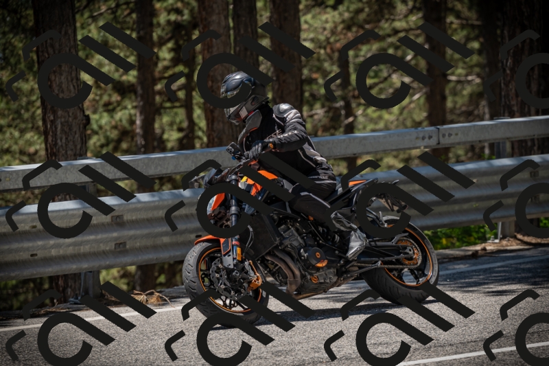 20250531130417-DSC_4971_am_