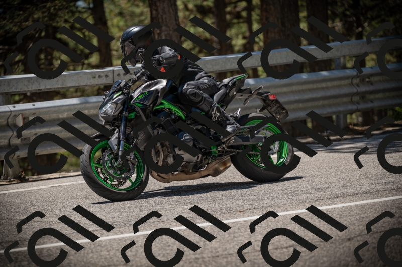 20250531130436-DSC_4975_am_