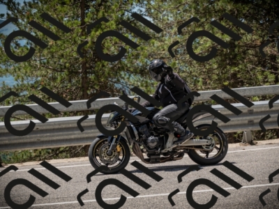 20250531130551-DSC_4985_am_