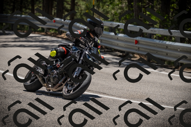 20250531130555-DSC_4988_am_