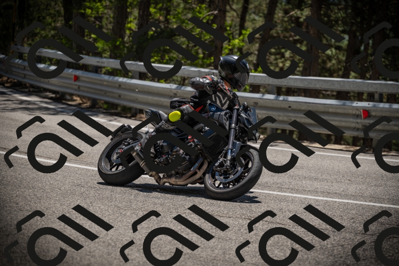 20250531130555-DSC_4989_am_