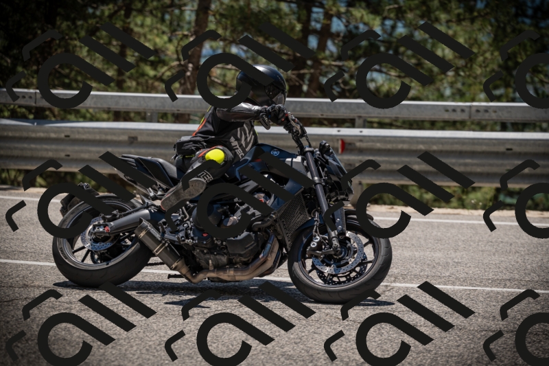 20250531130555-DSC_4990_am_