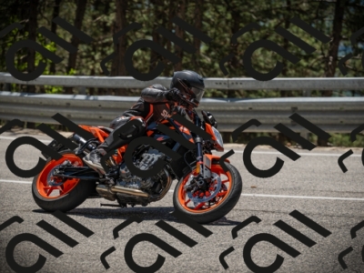 20250531130557-DSC_4991_am_