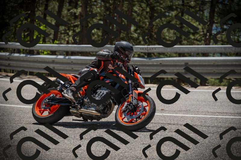 20250531130557-DSC_4991_am_