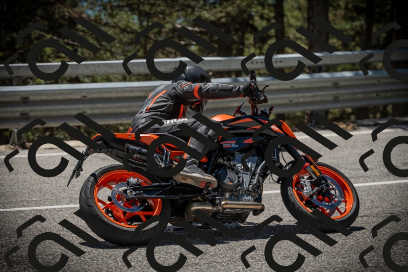 20250531130558-DSC_4993_am_