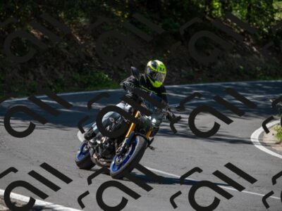 202505311532-M22_7803_m2_