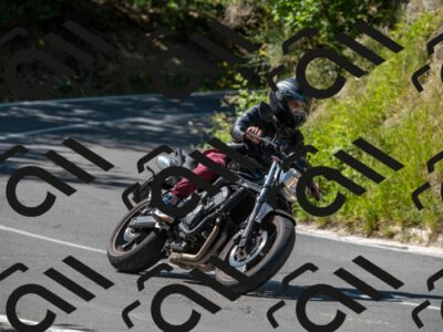 202505311537-M22_7839_m2_