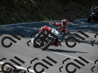 202505311539-M22_7842_m2_