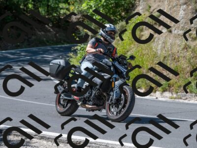 202505311539-M22_7846_m2_