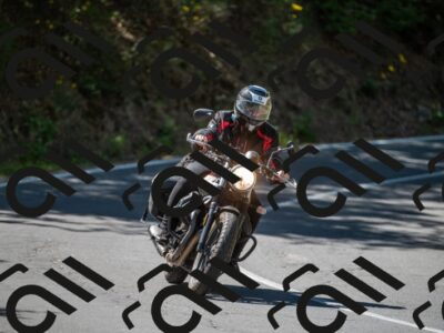 202505311539-M22_7848_m2_