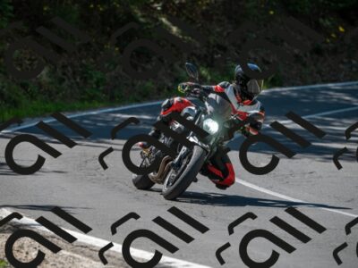 202505311547-M22_7896_m2_