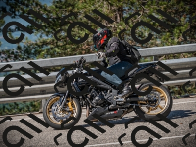 20250601100042-Z62_4061_am_