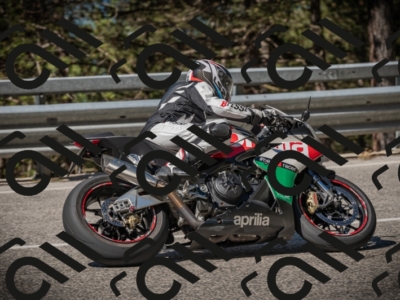 20250601100732-Z62_4110_am_