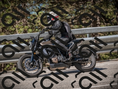 20250601101238-Z62_4145_am_