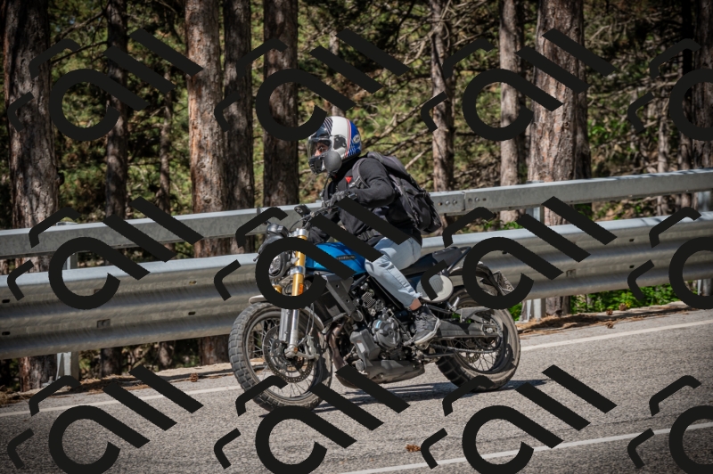 20250601101755-Z62_4255_am_