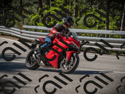 20250601102017-Z62_4280_am_