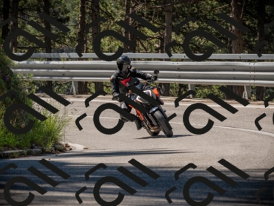 20250601102119-Z62_4283_am_