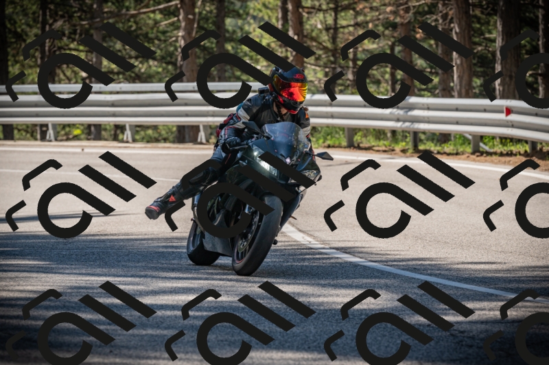 20250601102125-Z62_4290_am_