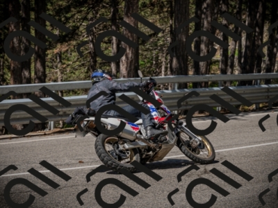 20250601104118-Z62_4443_am_