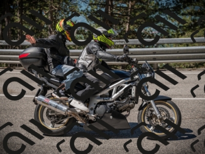 20250601105120-Z62_4567_am_