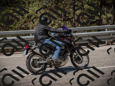 20250601105155-Z62_4576_am_