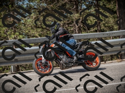 20250601105312-Z62_4584_am_