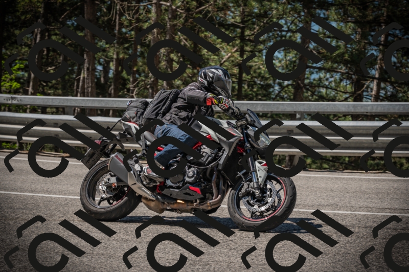 20250601105357-Z62_4598_am_