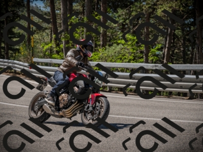 20250601110314-Z62_4760_am_