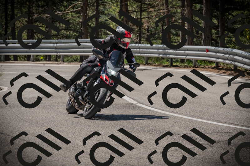 20250601110716-Z62_4815_am_